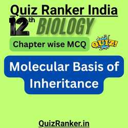 12th Biology Molecular Basis of Inheritance Quiz for 2026 exam