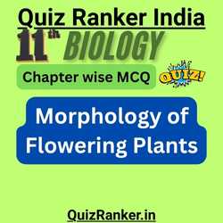 11th Biology Chapter 5: Morphology of Flowering Plants MCQ Test for 2026 exam