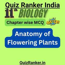11th Biology Chapter 6: Anatomy of Flowering Plants MCQ Test for 2026 exam