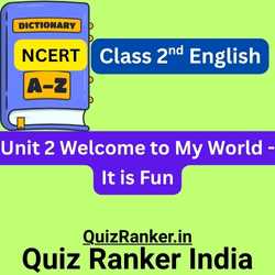 It is Fun Dictionary Flashcard