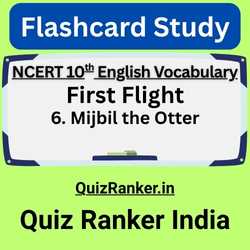 Mijbil the Otter Flashcards