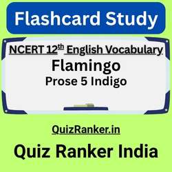 Prose 5 Indigo Dictionary flash card