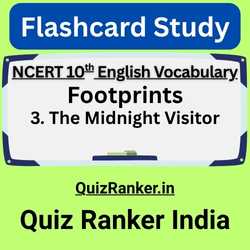 The Midnight Visitor Vocabulary Flashcards