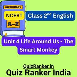 The Smart Monkey Dictionary Flashcard
