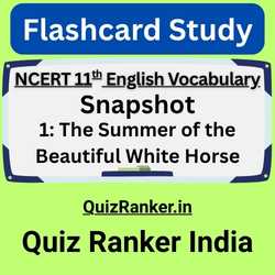 The Summer of the Beautiful White Horse Vocabulary Flashcard