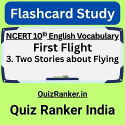 Two Stories about Flying Flashcards