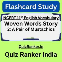 Vocabulary Woven Words Story 2 A Pair of Mustachios